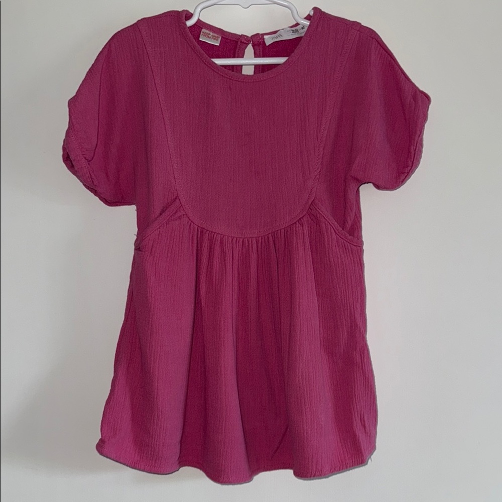 Toddler Girl Zara Dress
